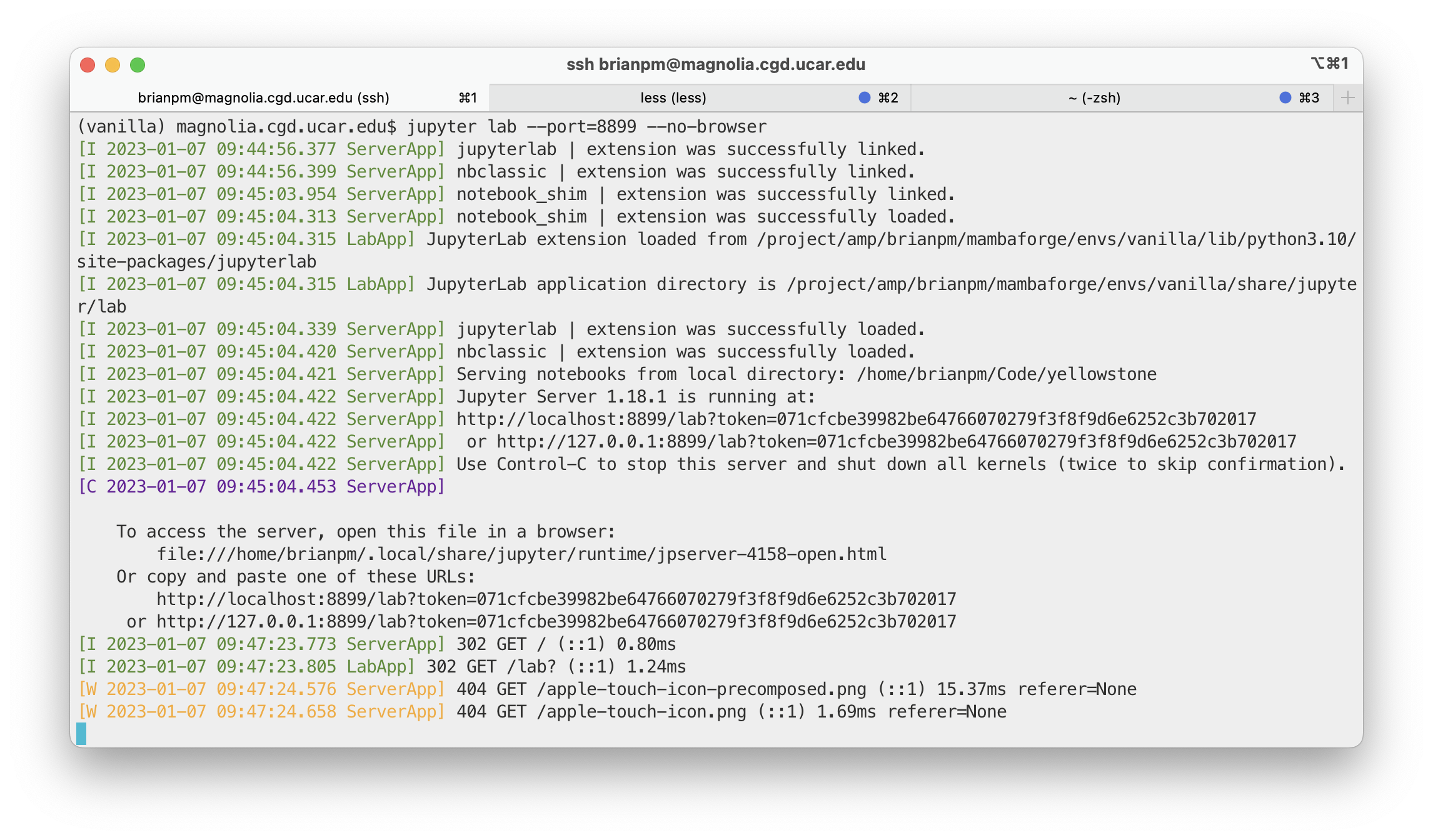 Terminal showing running Jupyter server